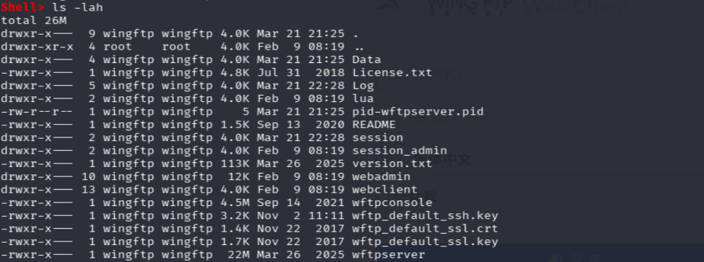 image-20260322103123357