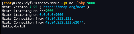 image-20251217194552963