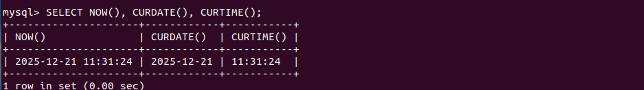 image-20251221194230451